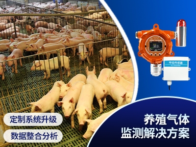 養殖氣體監測解決方案